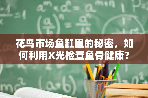 花鸟市场鱼缸里的秘密，如何利用X光检查鱼骨健康？