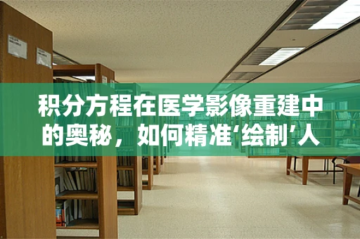 积分方程在医学影像重建中的奥秘，如何精准‘绘制’人体内部结构？