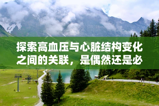 探索高血压与心脏结构变化之间的关联，是偶然还是必然？