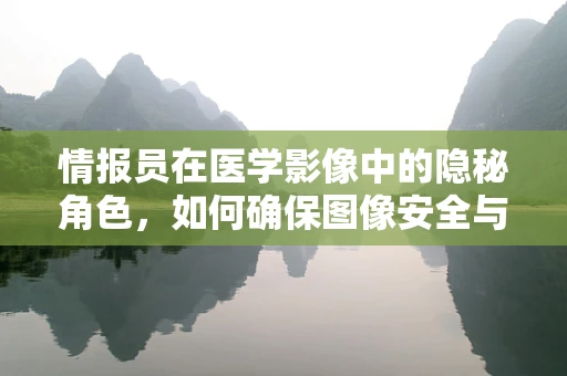 情报员在医学影像中的隐秘角色，如何确保图像安全与准确？