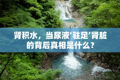 肾积水，当尿液‘驻足’肾脏的背后真相是什么？