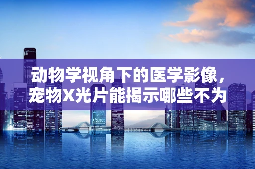 动物学视角下的医学影像，宠物X光片能揭示哪些不为人知的秘密？