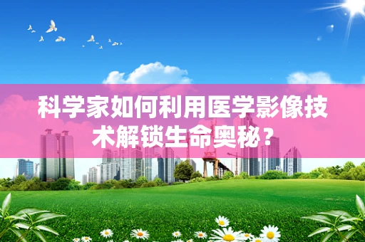 科学家如何利用医学影像技术解锁生命奥秘？