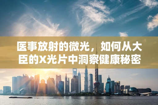 医事放射的微光，如何从大臣的X光片中洞察健康秘密？
