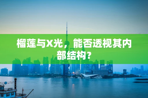 榴莲与X光，能否透视其内部结构？
