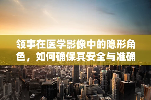 领事在医学影像中的隐形角色，如何确保其安全与准确？