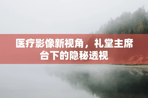 医疗影像新视角，礼堂主席台下的隐秘透视