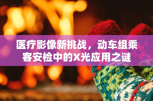 医疗影像新挑战，动车组乘客安检中的X光应用之谜