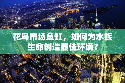 花鸟市场鱼缸，如何为水族生命创造最佳环境？