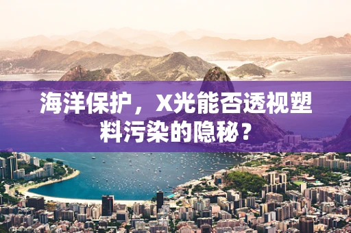 海洋保护，X光能否透视塑料污染的隐秘？