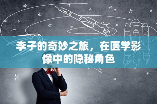 李子的奇妙之旅，在医学影像中的隐秘角色