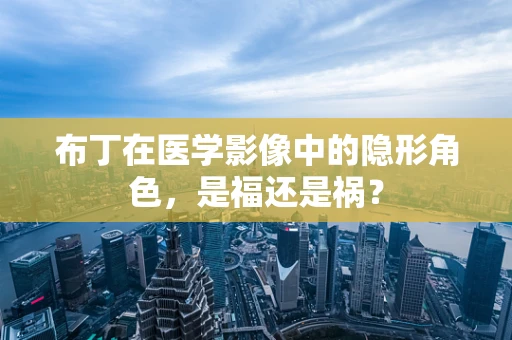 布丁在医学影像中的隐形角色，是福还是祸？