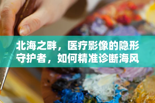 北海之畔，医疗影像的隐形守护者，如何精准诊断海风中的微小病变？