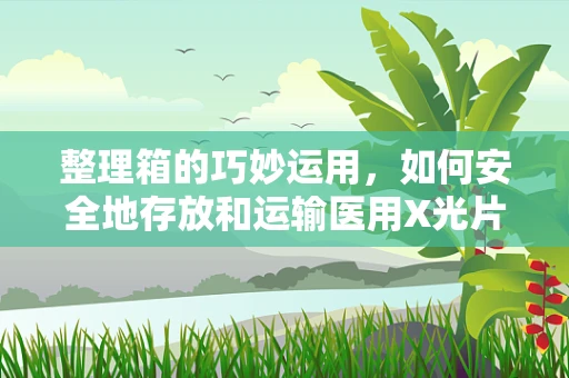 整理箱的巧妙运用，如何安全地存放和运输医用X光片？